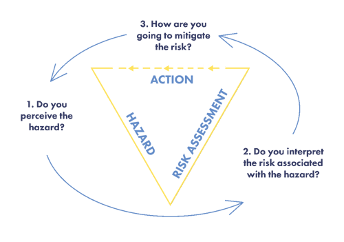 Risk perception triangle