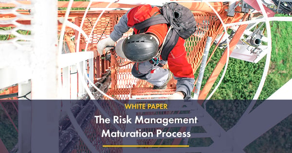 wp-The Risk Management Maturation Process